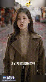 AI短剧狂飙1 pikpak【1V/66M/PIKPAK】