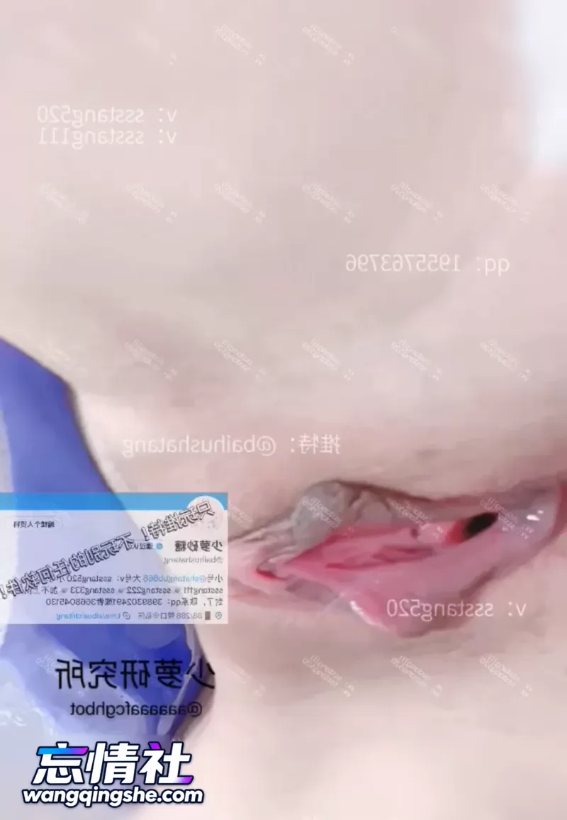 coser福利姬[少萝砂糖]近期新作合集【83V/141P/1.7G/PIKPAK】